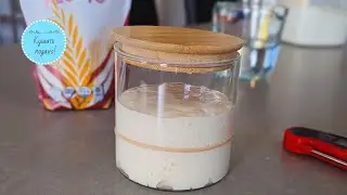 Everything you need to know about sourdough starter from A to Z. For beginners.