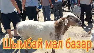 Шымбай мал базар.19.06.2022. Shimbay mal bazar.  Скотный рынок.  Мал базар 2022.