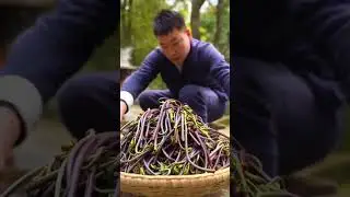 life in mountain #peace #nature #mountains #food #satisfying