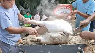 Pig Slaughter - Rural kill pigs, the most soil
