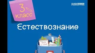 Естествознание. 3 класс. Позвоночные и беспозвоночные животные /12.10.2020/