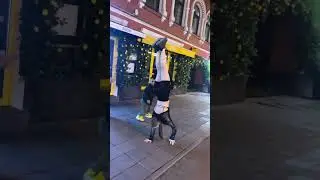 #софянка