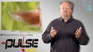The Pulse: Growing Human Body Parts