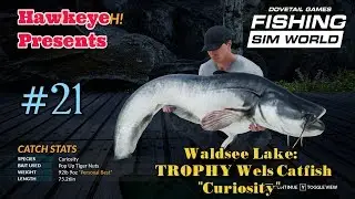 Fishing Sim World - #21 - Waldsee Lake: TROPHY Wels Catfish - 