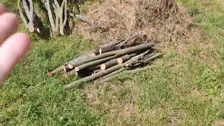 🇷🇺🌍 Безграмотная Мамаша Таджичка 🥷 ( ТУПЕНЬКАЯ) 🙈🙉🙊 или оборзевшие трудовые мигранты🇷🇺