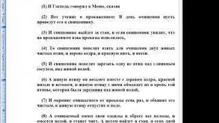 Лекция 9. «Книга Ваикра (Левит), современный еврейский комментарий», д-р Пинхас Полонский