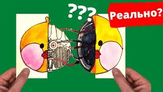 ОГО! Уточка Лалафанфан - РОБОТ! Делаем Лалафанфан из бумаги своими руками. Рисунок. Туториал