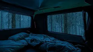 10 Hours⚡️Close Your Eyes to Feel The Rain by The Window And Fall into A Deep Sleep in The Forest