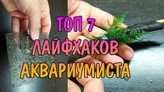 ТОП 7 ЛАЙФХАКОВ АКВАРИУМИСТА. Часть 3