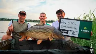 🏆Турнір 