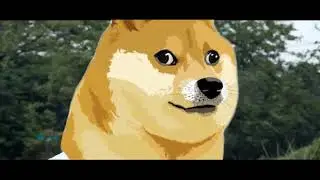 MoonBoys VS Doge - FIGHT