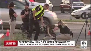 65-year-old Roy man dies after being hit in crosswalk