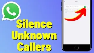 How to Auto Silence Unknown Callers on WhatsApp (2023)