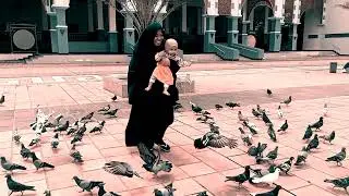 ISTRIKU, AKU MENCINTAIMU - زوجتي حبيبتي قلبي