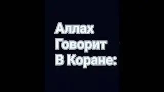Аллах говорит в Коране.