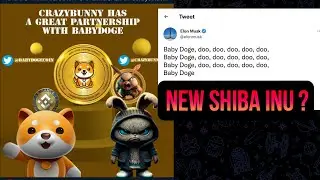 ✅ BEST CRYPTO TO BUY NOW 💰 NEW SHIBA INU 💰 CRAZY BUNNY TOKEN 💰 BabyBnbtiger