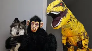 Monkey & Puppy Escape Sneaky Dinosaur! POV Chase