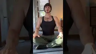 Do you feel the zen?