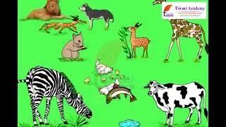Class 7 Science Chapter 1 Nutrition in Plants - Modes of Nutrition.