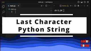 How to get Last Character in Python String?