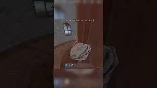 He was in a panic #rust