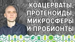 4. Коацерваты, протеноиды, микросферы и пробионты