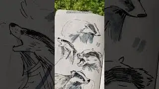 Here's what I've been doodling lately #badger #sketchbook