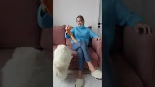КАССИ НАШЛА МНЕ РАБОТУ 🤑