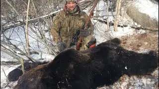 Собаки сработали по МЕДВЕДЮ на БЕРЛОГЕ. Тайга. Избушка. Дальний восток.