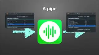 What is SWB Audio Capture