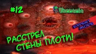 Terraria - expert mode (Расстрел стены плоти!) #12