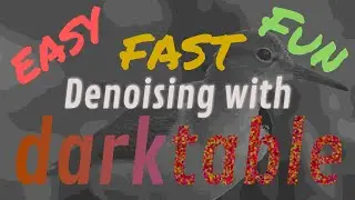 Easy 3-Step Denoise in Darktable 3.8 (Under one minute)