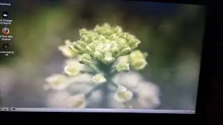 Watt OS Linux Boot up Test