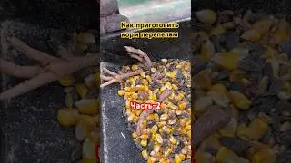 Корм в домашних условиях для кур, перепелов, утки, гусей #кормдляперепелов#комбикорм#мясоперепела