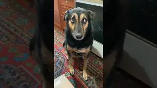 Людмила Вадимовна изволили обижаться,раз этого так все просят🙈 
