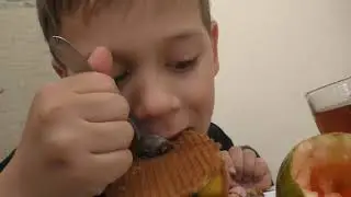 Медведь-челлендж