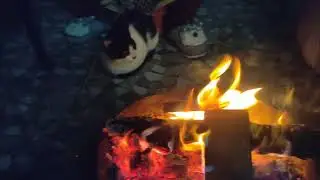 Billi ke saath aag seko 🔥🔥🔥