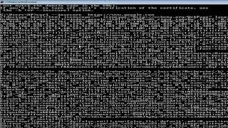 curl: (60) SSL certificate problem: unable to get local issuer certificate