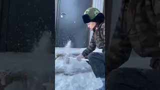 Деревенское утро 🏡