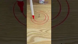 🔵🐱 Puff’s circle drawing adventure! Does Puff make the cut? 