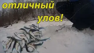 рыбалка на косынку! рыбалка на короткие косынки на отмели! ловля в косынки зимой!