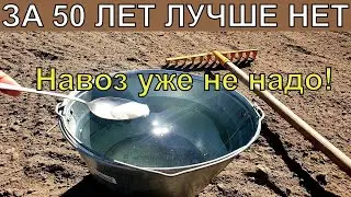 1 Ложку на Ведро Воды и Земля как Новая, Плодородная, Здоровая, Проливаю Землю для Большого Урожая