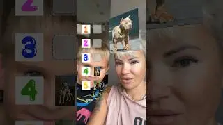 СОБАКИ или КОТ⁉️🫵🫵🫵