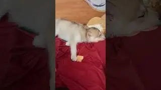 Пацан отдыхает