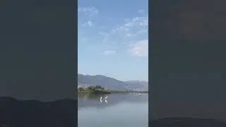 А птицы в небе высоко летели… 🦅🦩 Озеро Хула, Израиль ⛴️🚤 Hula Nature Reserve 🐸 אגמון אחולה 🌊🐠