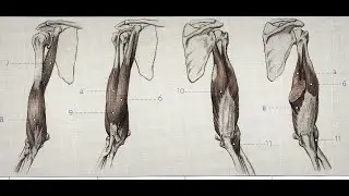 Лекция 