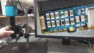EEVblog 
