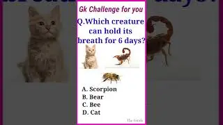 gk questions | gk in English | quiz questions | general knowledge English | exam | English quiz |