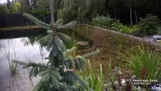 Красивый живой бассейн с прозрачной водой