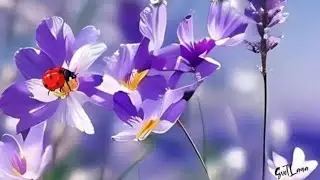 И снова Утро!!! Ветер свеж!!!! И снова мы полны надежд!!! Доброе Утро!!!